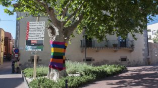 L'arbre de davant de Can Laporta
