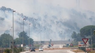 Els efectes de l'incendi a la falda del serrat de la Plaça just després de passar les flames
