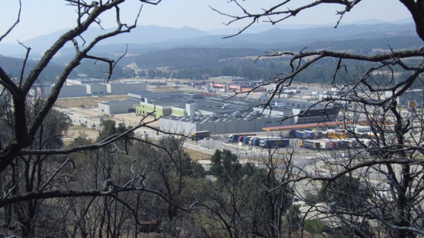 Un estudi de la UdG diu que l'aprofitament de biomassa s'ha de fer compatible amb la preservació del bosc