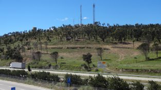 Des de fa uns mesos els boscos cremats de la zona de la Jonquera s'han estat aprofitant com a biomassa
