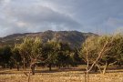 Recuperar espais oberts del paisatge per prevenir