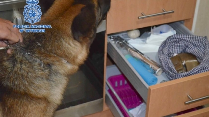 Agents de la policia espanyola van localitzar 283 grams de cocaïna, 98 grams d'heroïna i 600 d'haixix