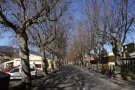 Un desembre càlid i ventós