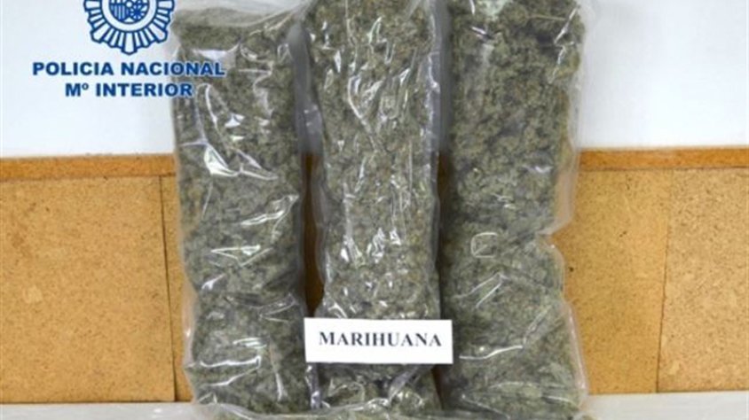 Detenen el passatger d'un autobús que portava més d'1,5 quilos de marihuana dins d'una maleta