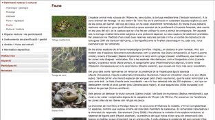 A l'apartat de fauna pròpia de l'Albera no es fa cap esment de la vaca semisalvatge de l'Albera