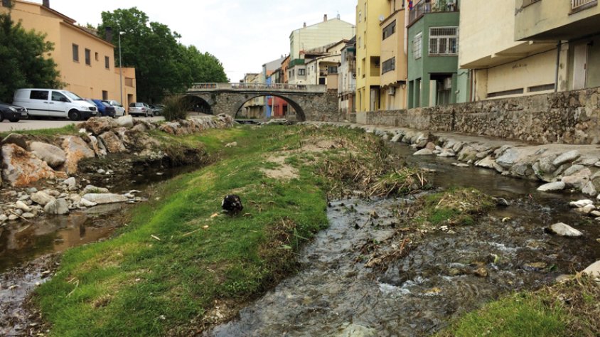 Els 67 litres de precipitació del mes d’abril permeten gaudir d’aquesta imatge captada el 30 d'abril de 2015