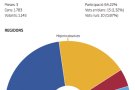 Resultats finals a la Jonquera: CIU (5), ERC (4), PSC (1) i PP (1)