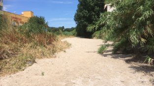 El Llobregat a la resclosa de Correus