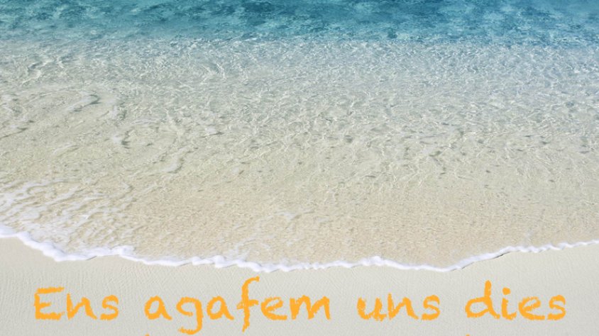 Infojonquera se'n va de vacances