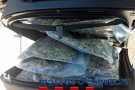 Els Mossos detenen a la Jonquera un motorista per fugir d’un control policial amb maletes plenes de marihuana