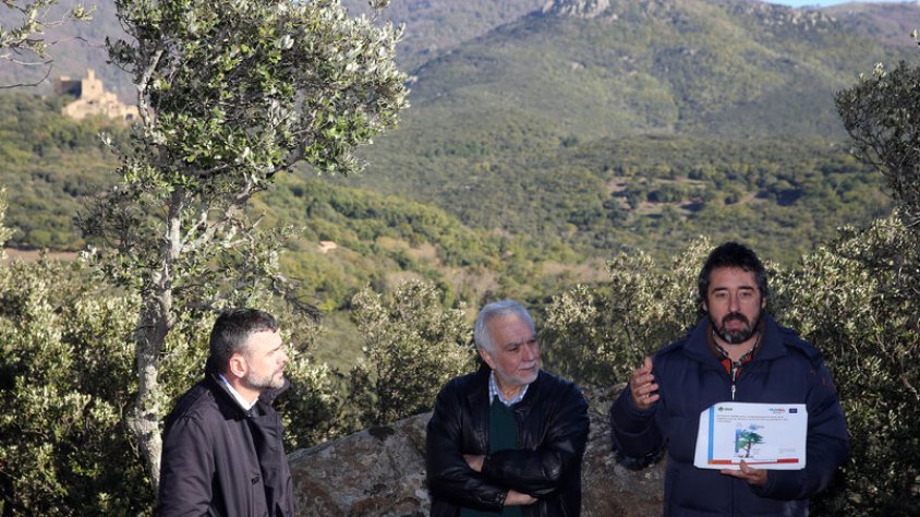 El conseller Santi Vila va visitar les proves pilot que s'estan fent als boscos de Requesens, al municipi de Cantallops, per avaluar la capacitat d'adaptació al canvi climàtic