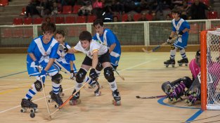 CP Jonquerenc aleví 5 - CH Figueres 2