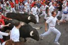 Una empresa israeliana projecta fer “encierros” amb la Vaca de l’Albera
