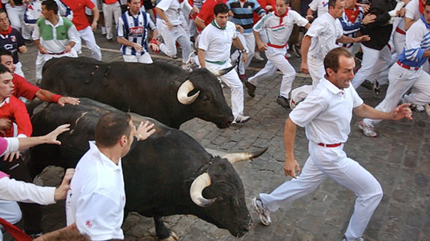 Una empresa israeliana projecta fer “encierros” amb la Vaca de l’Albera