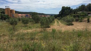 El projecte de 16 horts municipals es posa en marxa al Camp del Suro