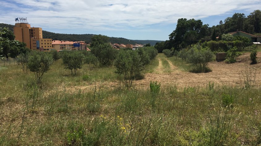 El Camp de Suro acollirà els horts municipals de la Jonquera