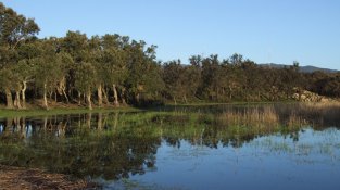 Imatge d'arxiu de la zona dels estanys i prats humits de la Jonquera