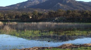 Imatge d'arxiu de la zona dels estanys i prats humits de la Jonquera