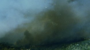 L’incendi a la zona més propera a la urbanització Prat d’en Malagrava