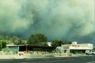 Avui es compleixen els 30 anys del gran incendi de l’Albera: 19 de juliol de 1986 
