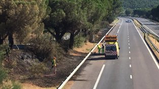 Zona cremada al marge de la carretera que s'ha hagut de tallar