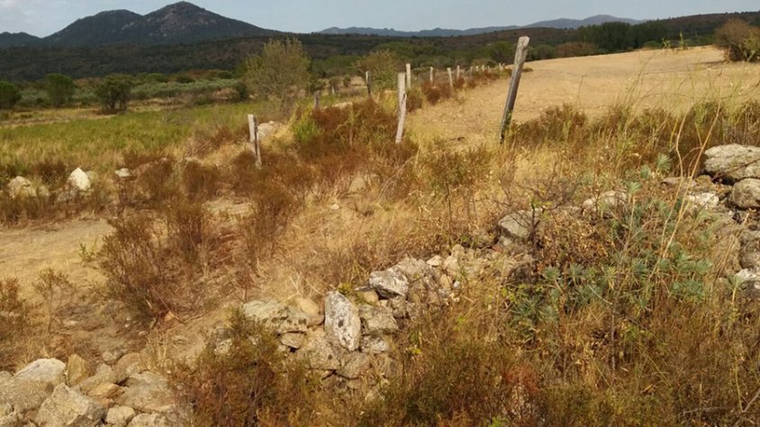 Cantallops i els camins públics. Imatge d'arxiu camí de la Jonquera a Espolla passant per Cantallops