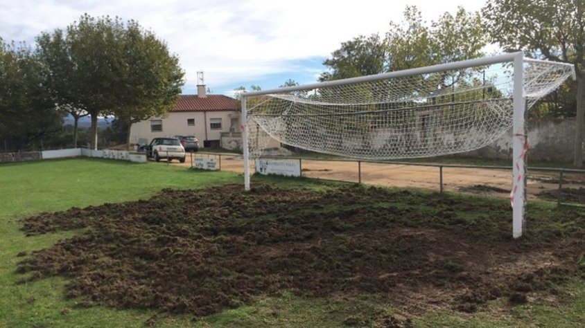 Imatge de la desfeta dels senglars al camp de futbol d'Agullana