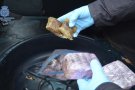 Detinguda una parella de narcotraficants amb 3,2 quilos d'haixix amagats al maleter i més de 9.000 euros