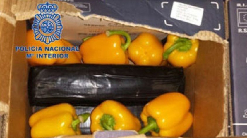 La droga estava amagada entre la mercaderia de verdura amb destinació a Suècia