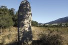 Trenta anys de l’aixecament del Menhir dels Palaus a L’Estrada