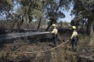 Incendi provocat per un camió a l'AP7