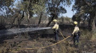 L'incendi va cremar bosc i matolls a prop de la Jonquera però dins el terme d'Agullana