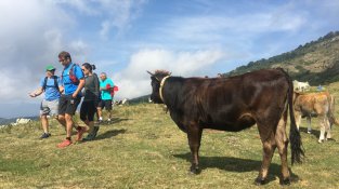 Camí de les mugues per la carena de l'Albera.
