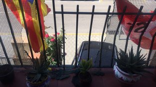Entren en un recinte privat i cremen una estelada