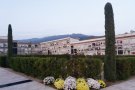 Diversos veïns denuncien que els han robat flors del cementiri