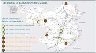 Els set boscos gironins que participaran en el projecte