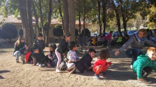 Cuc humà a la llar d'infants