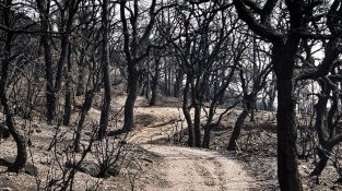 Una de les imatges que inclou la mostra