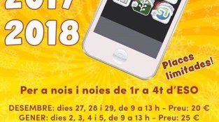 Cartell del Nadal Jove