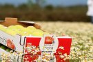 Els productors de Poma de Girona critiquen les traves que es troben al punt d'inspecció fronterer de la Jonquera