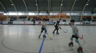L'aleví va perdre a Palafrugell