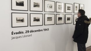La mostra es va inaugurar dissabte