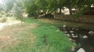 L'aigua i l'entorn tornen a estar nets