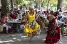 L'àlbum fotogràfic de la Festa Arriateña 2018, disponible al nostre web