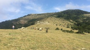 La CUP a favor de la declaració del Parc Natural de l’Albera
