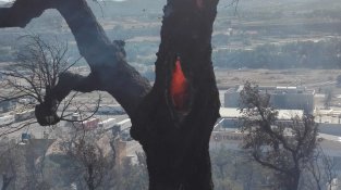 La zona cremada és molt propera al poble