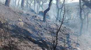 Al matí el foc ha comenat uns metres més avall