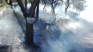 Al matí el foc ha comenat uns metres més avall