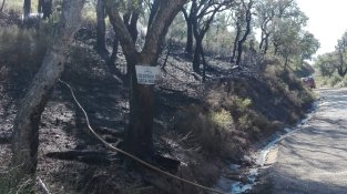 Al matí el foc ha comenat uns metres més avall