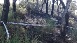 Al matí el foc ha comenat uns metres més avall
